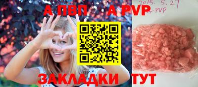 кокс Гудермес