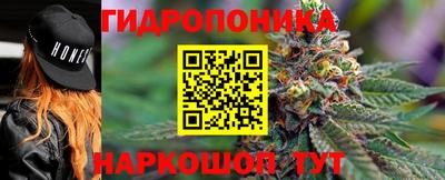 кокс Гудермес
