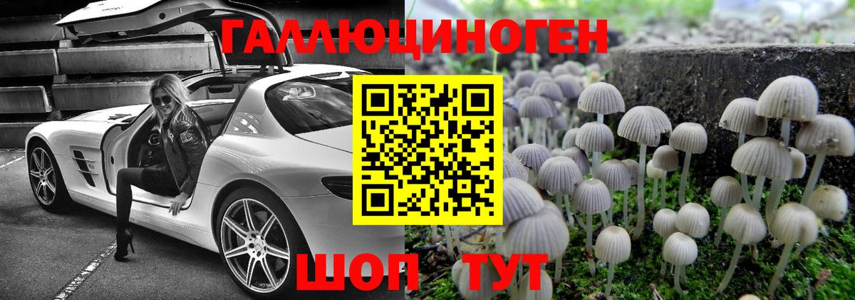 Псилоцибиновые грибы MAGIC MUSHROOMS  Псилоцибиновые грибы прущие грибы  Вход с VPN  Бор 